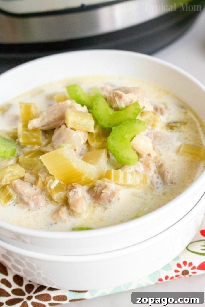 Ultimate Pressure Cooker Chicken Soup 4 A rich and creamy bowl of Instant Pot Cream of Celery Soup, garnished with fresh herbs, showcasing the comfort and flavor of pressure cooker recipes.