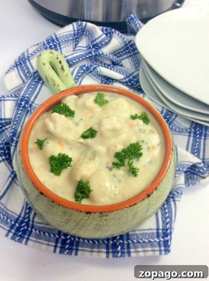 Ultimate Pressure Cooker Chicken Soup 5 A bowl of creamy Instant Pot Gnocchi Soup with tender chicken and fresh spinach, ready to be enjoyed.