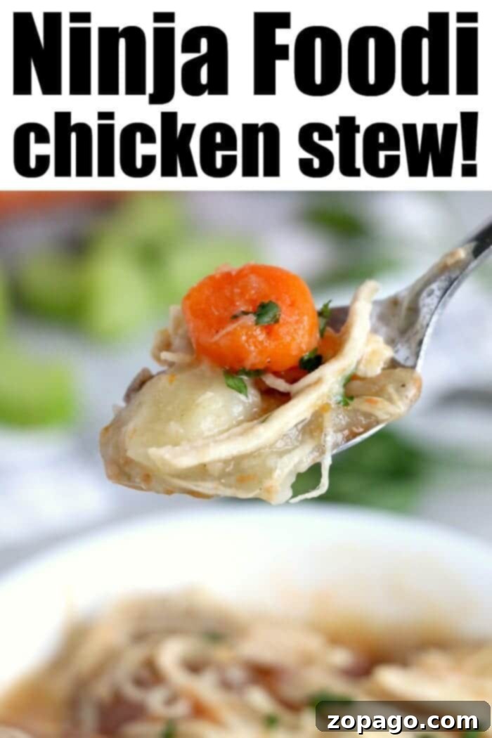 Ultimate Pressure Cooker Chicken Soup 6 A hearty Ninja Foodi stew, rich with chicken, vegetables, and a creamy sauce, perfect for a warming meal.
