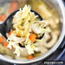 A ladle serves savory chicken noodle soup with carrots, expertly made from a pressure cooker using classic chicken soup recipes.