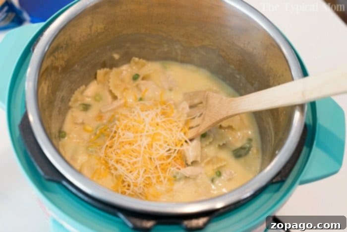 Creamy Instant Pot Chicken Noodle Casserole 9 A close-up of a serving of pressure cooker chicken noodle casserole in a white bowl, garnished with green herbs, highlighting the delicious chicken and pasta.