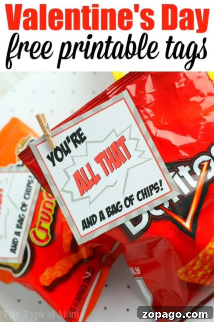 This Free Valentines Tag is perfect for boys and girls to give their friends as a classroom treat clipped to the top of a small chip bag. Get the free printable here! #valentinesday #treat #tag #freeprintables #boy #girl #classroom #snack Valentines Tag for Classroom Chip Bags