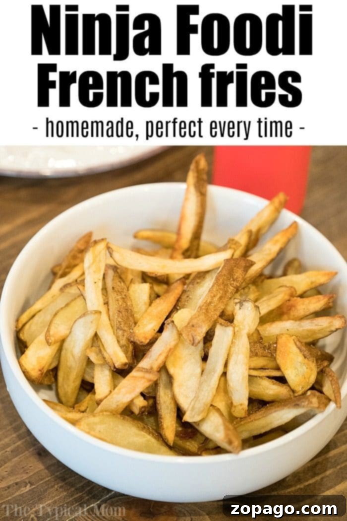 Ninja Foodi French Fries: Crispy, Healthy & Homemade Air Fryer Potatoes Crispy Ninja Foodi French Fries served in a bowl, a healthy air fryer recipe.