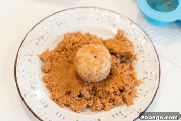 Pressure cooker churro bites are delicious for dessert or breakfast on the go! Cinnamon and sugar coated baked churros, not fried, in your Instant Pot. #instantpotrecipes #churros #churrobites #instantpot #crockpotexpressrecipes #breakfast #donuts #doughnuts A delectable close-up of pressure cooker churro bites, arranged on a plate and glistening with a generous coating of cinnamon sugar, highlighting their inviting, golden-brown texture.