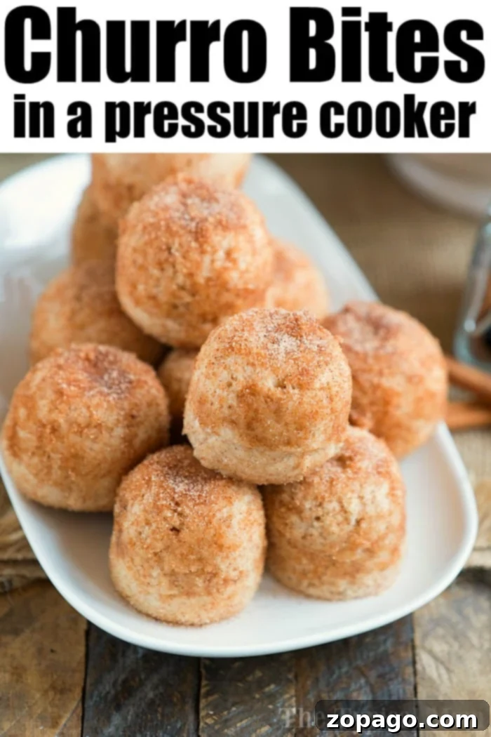 Churro bites dessert. #churros #dessert #pressurecooker #ninjafoodi #instantpot #churrobites A beautifully arranged pyramid stack of pressure cooker churro bites, each perfectly coated in cinnamon sugar, creating an enticing and delicious display.