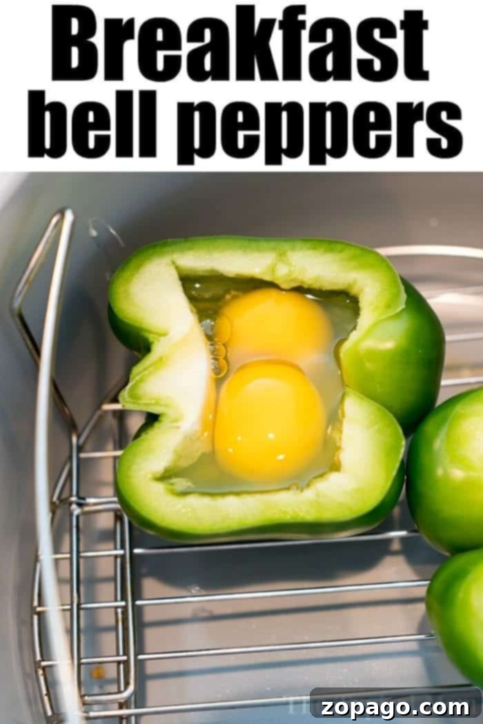 Versatile Air Fryer Egg and Pepper Breakfast Two vibrant breakfast stuffed peppers, one orange and one yellow, with perfectly cooked eggs and a sprinkle of herbs, sit ready on a white plate. Ideal for a quick air fryer meal.