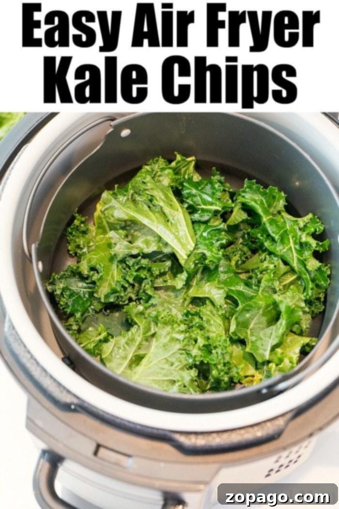 Air Fryer Ninja Foodi kale chips are the most delicious and healthy snack that even my kids love! Crispy and the best kale chips in just 5 minutes flat. #airfryer #kalechips #bestkalechips #ninjafoodirecipes #ninjafoodi #kalerecipes #thetypicalmom ninja foodi kale chips 2