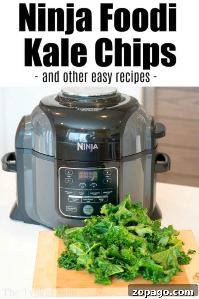 A close-up of crispy, seasoned air fryer kale chips piled in a red bowl.