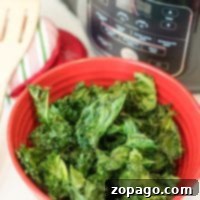 Perfectly Crispy Ninja Foodi Air Fryer Kale Chips 5 A vibrant red bowl of Ninja Foodi kale chips sits enticingly in front of an air fryer, offering a delicious and healthy treat.