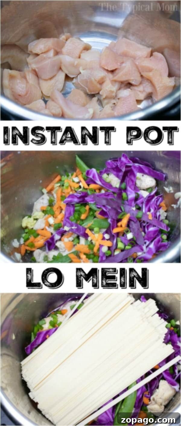 Instant Pot chicken lo mein is a quick, flavorful, and easy one-pot dinner for the whole family, packed with soft noodles and fresh vegetables. #instantpotrecipes #lomein #pressurecooker #ninjafoodi #quickdinner Easy homemade chicken lo mein recipe made in a pressure cooker.