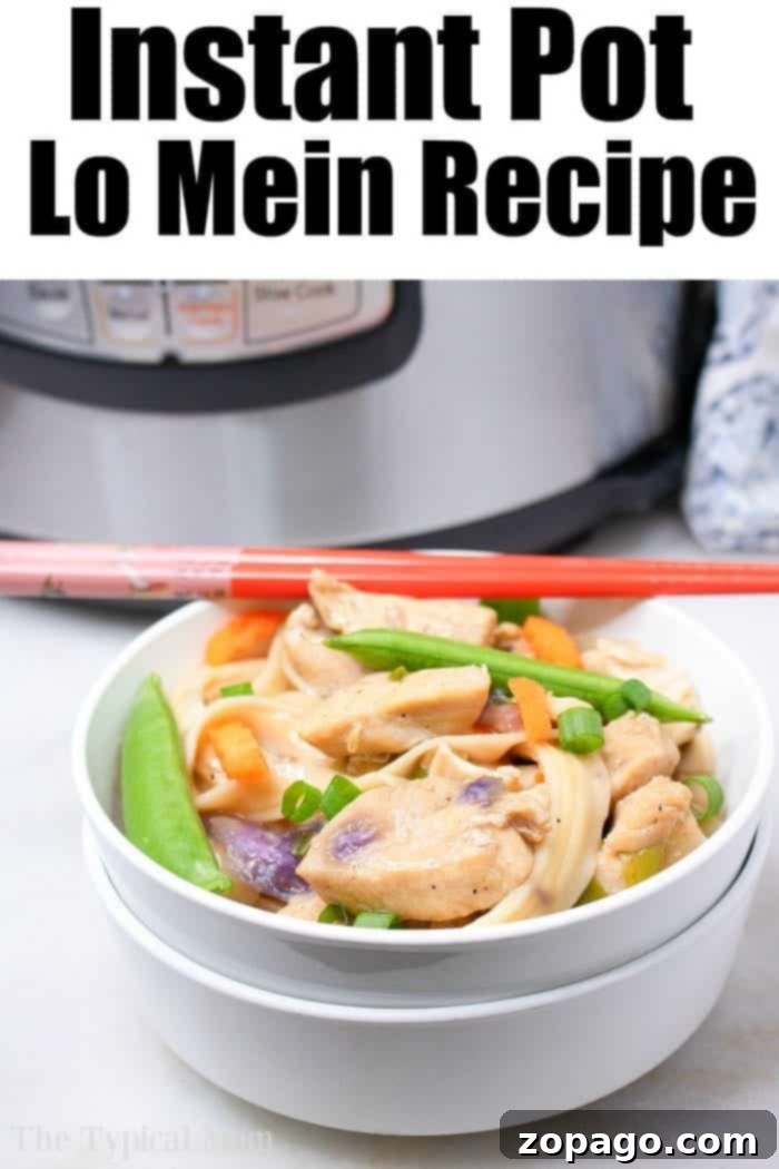 Instant Pot lo mein is a great dinner for the whole family! Soft flavorful noodles with vegetables all in the same bowl for this one pot meal. #instantpotrecipes #instantpot #lomein #chinese #pressurecooker #ninjafoodi #ninjafoodirecipes Delicious Instant Pot Lo Mein with tender noodles and vibrant vegetables