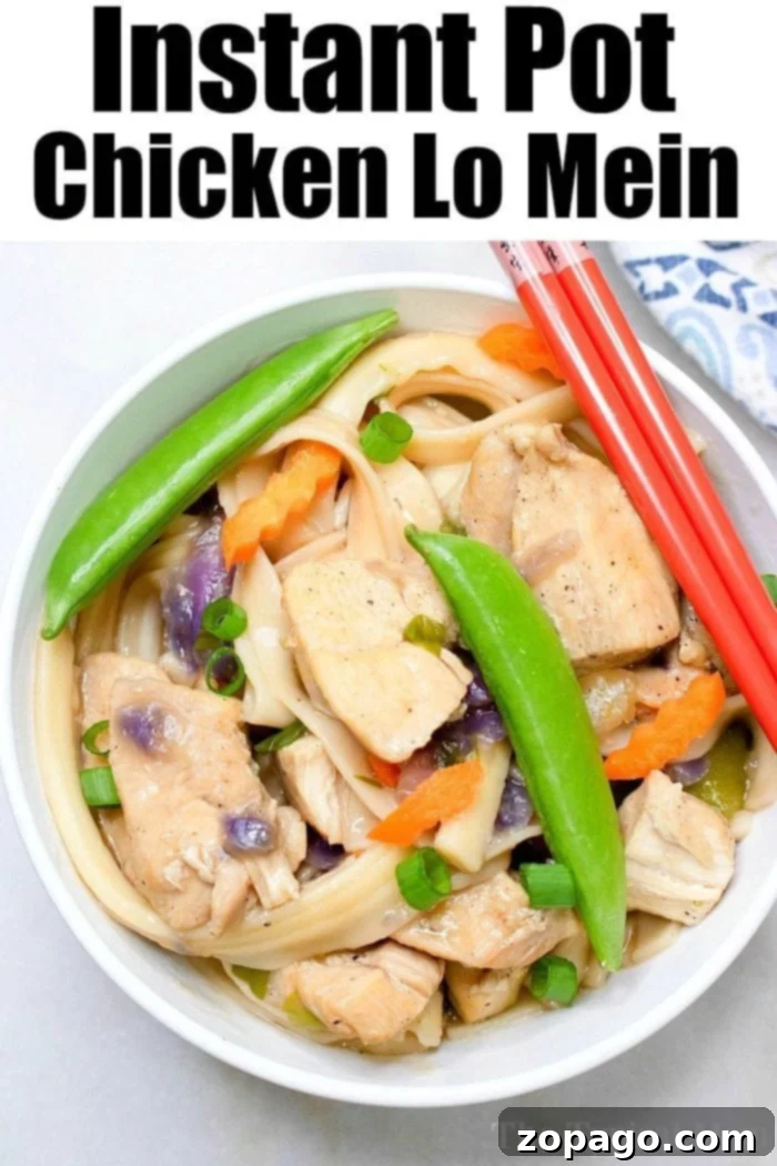 Delicious Instant Pot Lo Mein, a perfect quick and easy one-pot meal for families. #pressurecookerrecipes #lomein #dinnerideas #fastmeals Instant Pot Lo Mein cooked and ready to serve, garnished with herbs.