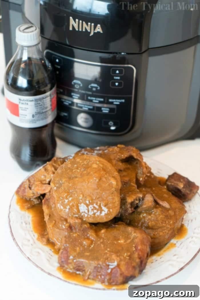 Great Ninja Foodi roast recipe with mushroom gravy that's tender and juicy in just about an hour. If you're looking for Ninja Foodi recipes you'll love this #ninjafoodirecipes #ninjafoodi #sirloinroast #roast #pressurecooker #shreddedbeef A large piece of raw sirloin tip roast, seasoned, placed in a Ninja Foodi pressure cooker, ready for cooking to become a tender Ninja Foodi roast recipe.