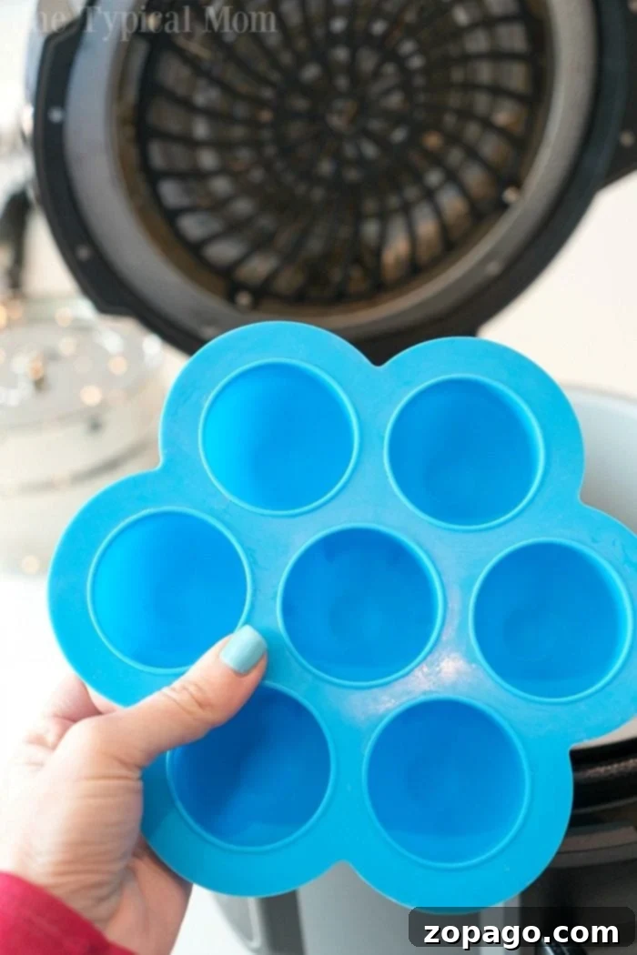 Ninja Foodi accessories for creative cooking Ninja Foodi egg mold for versatile cooking