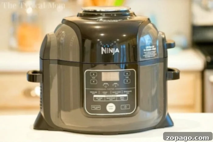 Instant Pot vs Ninja Foodi Review: My Personal Recommendation ninja foodi recipes 2