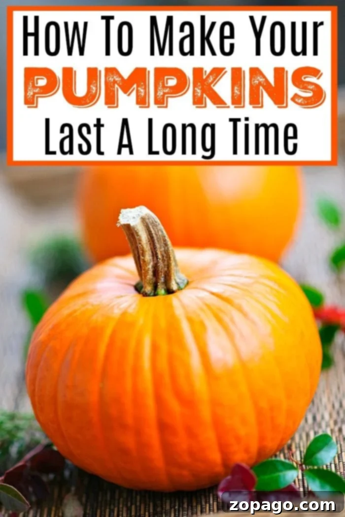 Essential tips for carving pumpkins and preserving them with bleach or vinegar for long-lasting Halloween decorations. How to preserve pumpkins and keep them from rotting on the porch