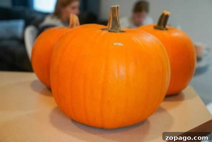 Extend the Life of Your Porch Pumpkins 2 Keep your Halloween pumpkins fresh and prevent rotting with these proven methods