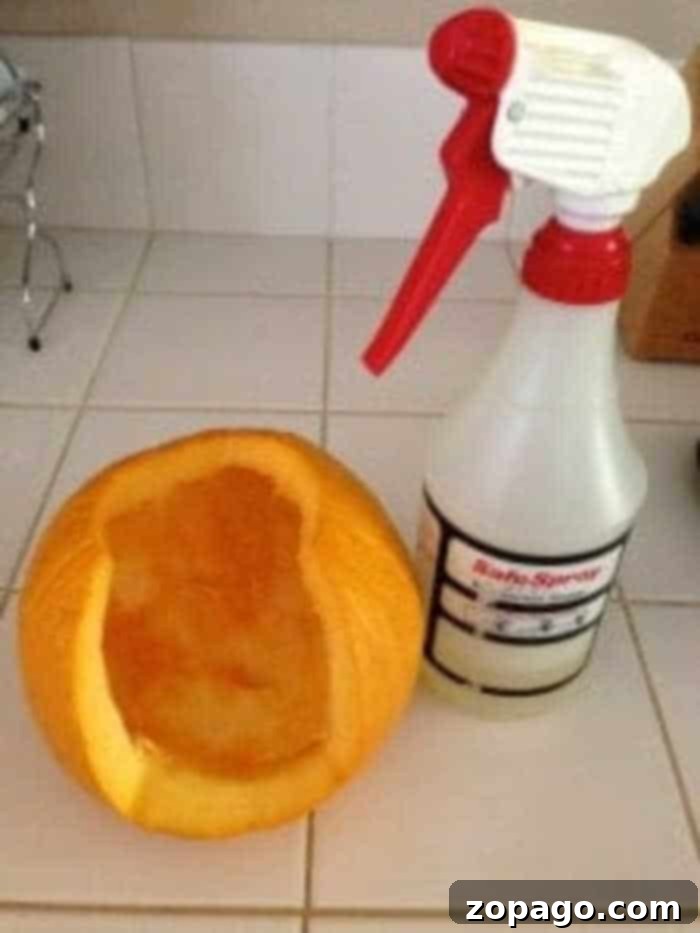 Extend the life of your Halloween pumpkins with these effective preservation techniques using bleach or vinegar. How to Preserve Carved Pumpkins with DIY solutions