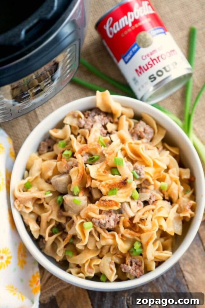 Ninja Foodi beef stroganoff: a quick and tasty one-pot meal using ground beef. #pressurecooker #instantpot #ninjafoodi #instantpotrecipes #ninjafoodirecipes #beefstroganoff #beef #stroganoff #casserole A perfectly portioned serving of Ninja Foodi beef stroganoff, featuring ground beef, a lusciously creamy sauce, and soft egg noodles, elegantly garnished with fresh parsley.