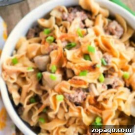 A bowl of Instant Pot Ground Beef Stroganoff with egg noodles, ground beef, and chopped green onions on top, ready for a delicious meal.