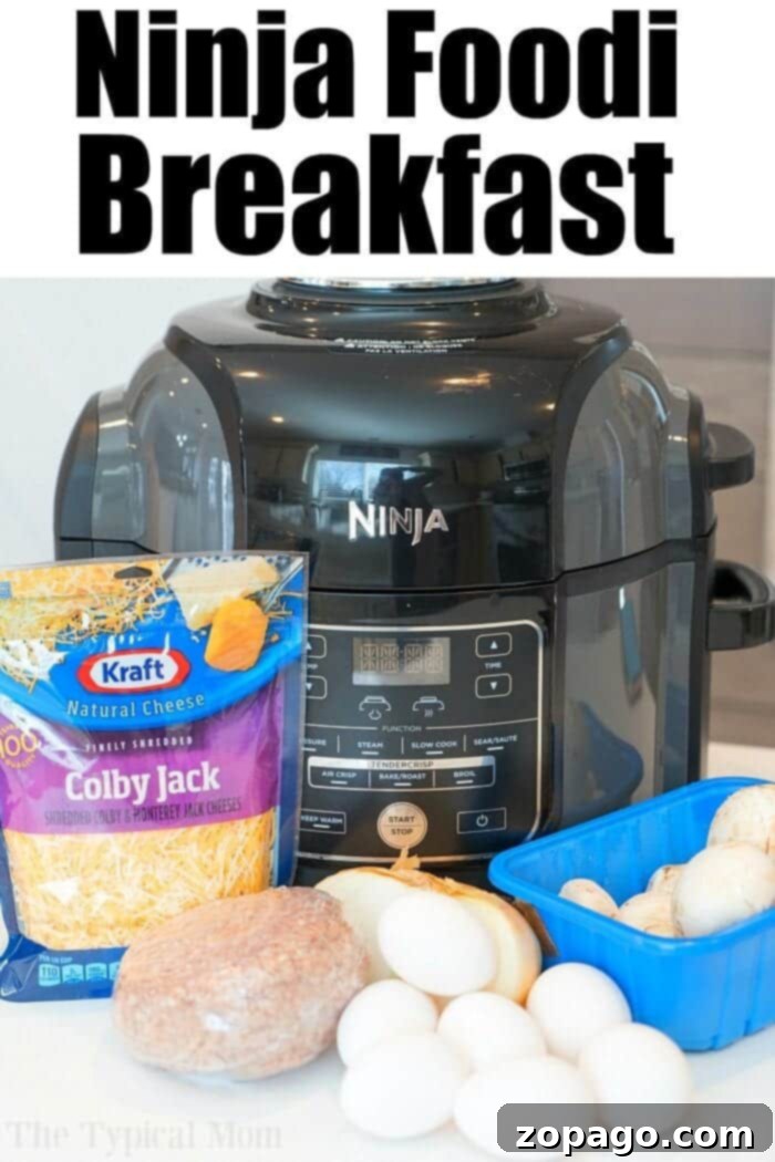 Ninja Foodi Breakfast omelette is here! Filled with eggs, cheese and even ground sausage or bacon this will be your favorite air fryer breakfast ever! #ninjafoodirecipes #ninjafoodi #eggs #breakfast #omelette #airfryer #airfryerrecipes #thetypicalmom ninja foodi breakfast 2