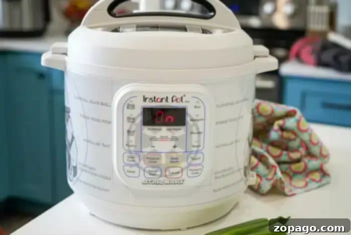 Skip the Soak: Quick Pressure Cooker Pinto Beans 2 A white Instant Pot with a subtle Star Wars theme is prominently displayed on a clean kitchen counter. Its digital display shows "On," signaling readiness for cooking. Nearby, a patterned cloth and fresh green onions add a touch of color, all set against a backdrop of classic blue kitchen cabinets and a stovetop.