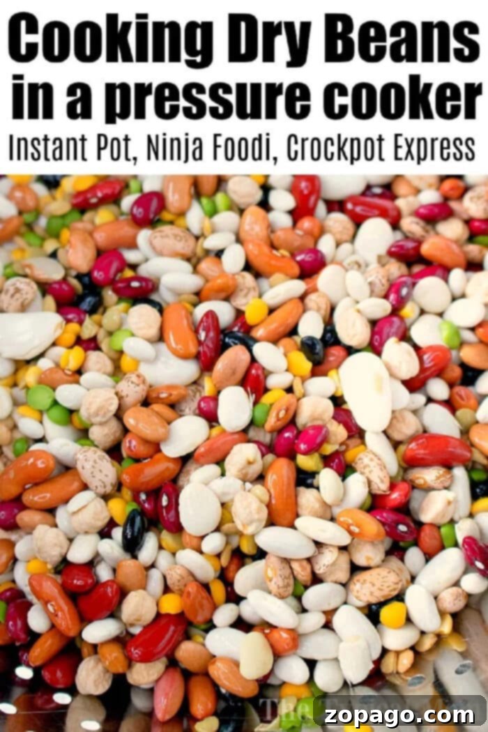 Cooking beans in an Instant Pot has never been easier! There's NO presoaking required for dry beans to become tender to make your favorite recipes. #instantpotbeans #drybeans #instantpot #instantpotrecipes #ninjafoodi #ninjafoodibeans A serving of perfectly cooked beans in a pressure cooker, highlighting their tender texture and rich color, ready for any meal.