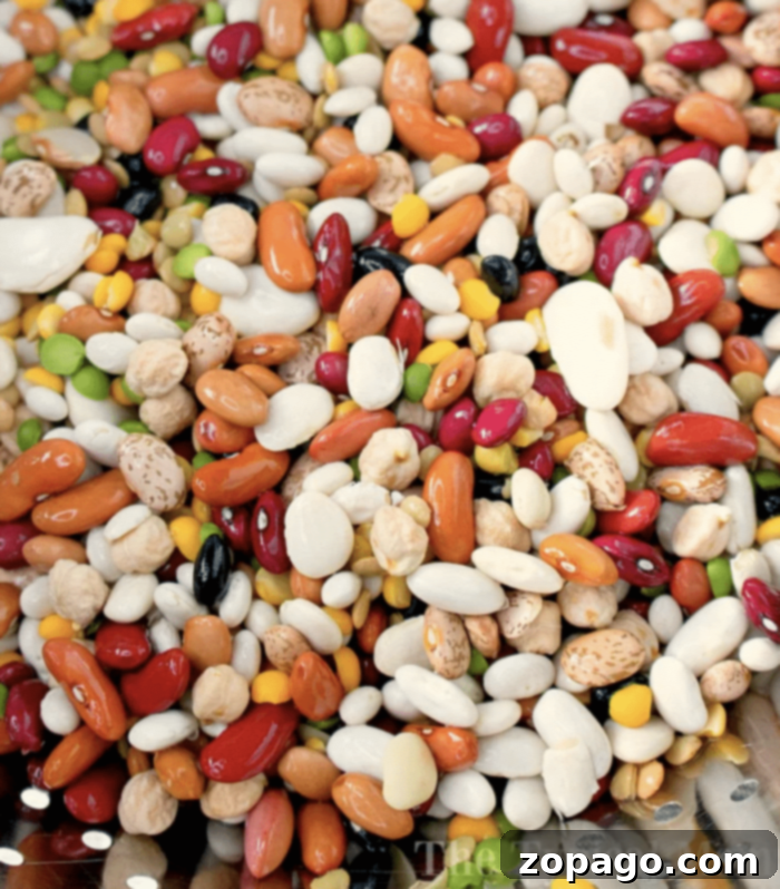 Quick & Easy Pressure Cooker Beans 4 Close-up of perfectly cooked dried beans in a bowl, showcasing their creamy texture and readiness for various recipes.