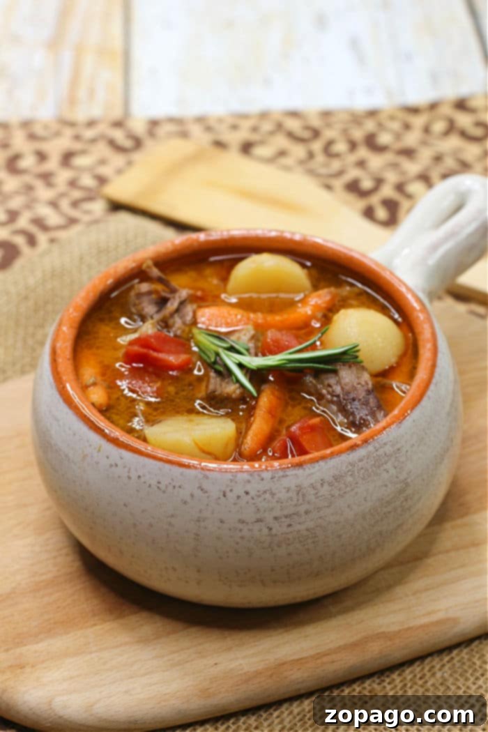 Effortless Instant Pot Dinners 5 instant pot stew meat recipe - a close-up of tender beef stew with vegetables