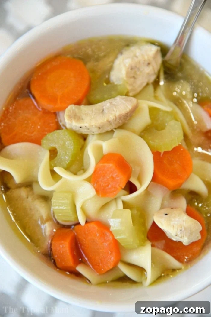 Instant Pot 5 Ingredient Magic 10 A comforting bowl of Instant Pot Chicken Noodle Soup, brimming with chicken, noodles, and vegetables, perfect for a hearty family meal.