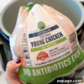 Whole Chicken Instant Pot Recipes