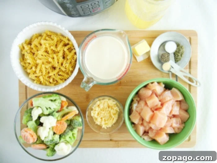 Instant Pot chicken and noodles in a creamy sauce, ready to serve.