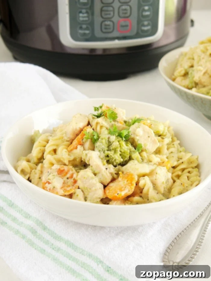 Close-up of pressure cooker chicken and noodles in a rich, creamy sauce, showcasing tender chicken, pasta, and mixed vegetables, perfect for a family dinner.