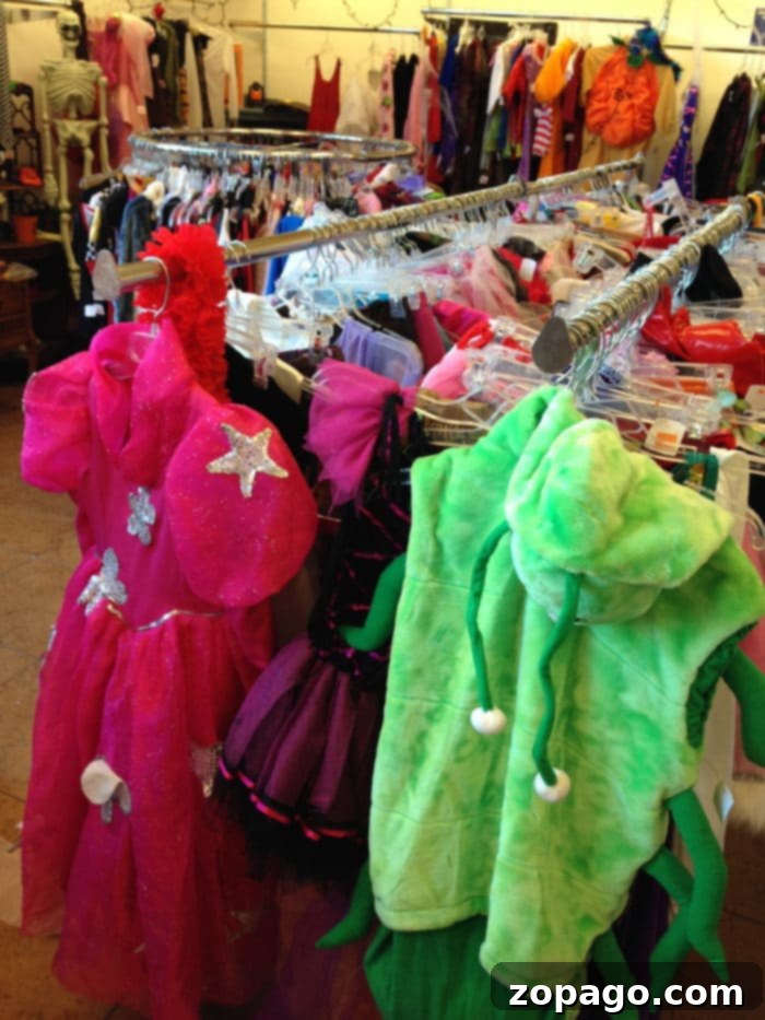 Stay Informed: Newsletter Perks for Thrifty Shoppers thrift store shopping tips