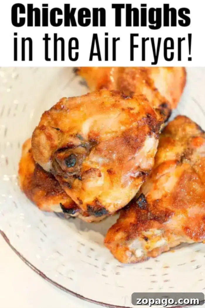 Air fryer chicken thighs ever! Use this dry rub for chicken to make sweet and crispy chicken in an air fryer that's tender and juicy inside. Yum! #airfryer #airfryer #ninjafoodirecipes #ninjafoodi #chickenthighs #chicken #crispy A plate of four bone-in chicken thighs with a crispy, browned coating. The text above reads, "Chicken Thighs in the Air Fryer!" A deliciously easy meal made perfect in your air fryer.