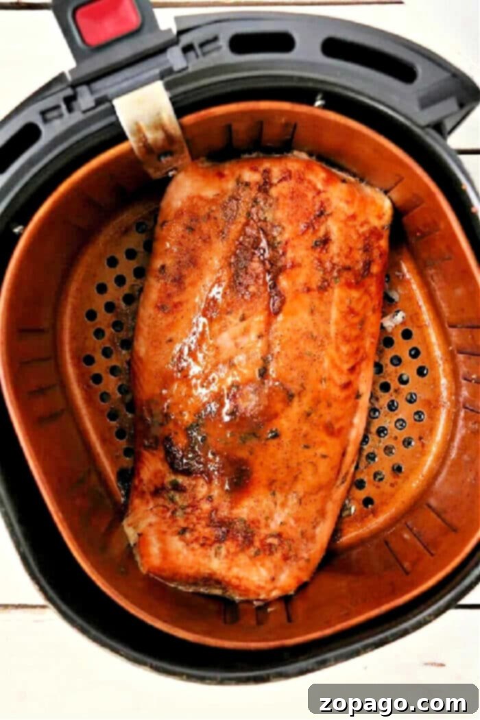 Salmon in the Air Fryer with Dry Rub