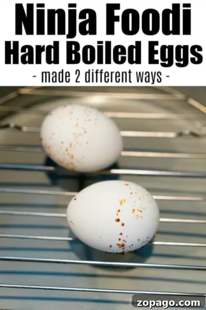 Ninja Foodi hard boiled eggs are incredibly simple to make! Discover 3 tested methods to achieve your desired yolk consistency, perfect for a quick snack or a protein-rich breakfast. Image showing two hard-boiled eggs on a metal rack. The eggs have some brown specks on their shells, a common occurrence with air fryer hard boiled eggs, showcasing the simplicity of this easy cooking method.