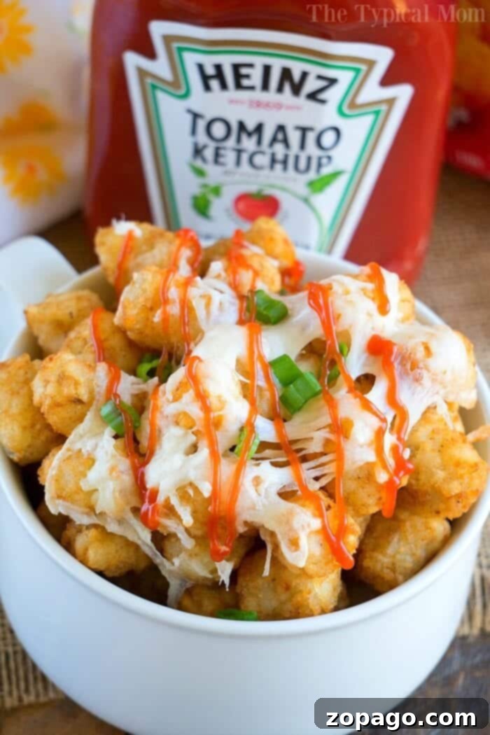 Air Fryer Tater Tots: Perfectly Crispy Snack or Side Dish Crispy Air Fryer Tater Tots with Cheese and Ketchup