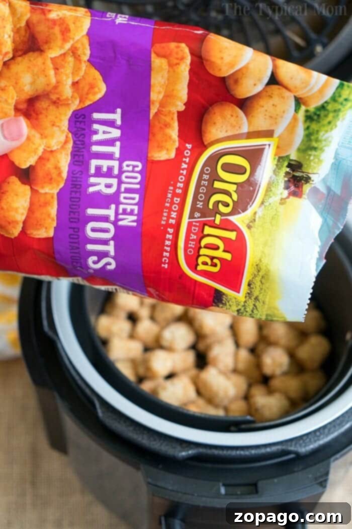 How to Cook Frozen Tater Tots in Air Fryer Air Fryer Frozen Tater Tots in a Basket