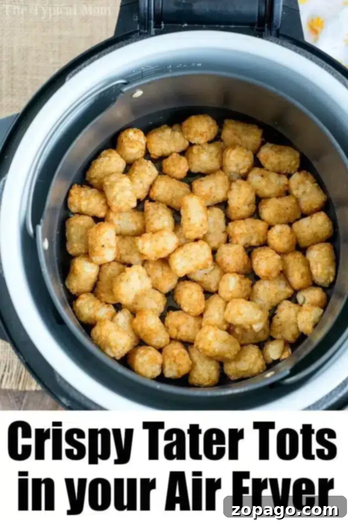 Crispy Tater Tots Made in a Ninja Foodi Air Fryer Ninja Foodi Air Fryer Tater Tots in a Bowl