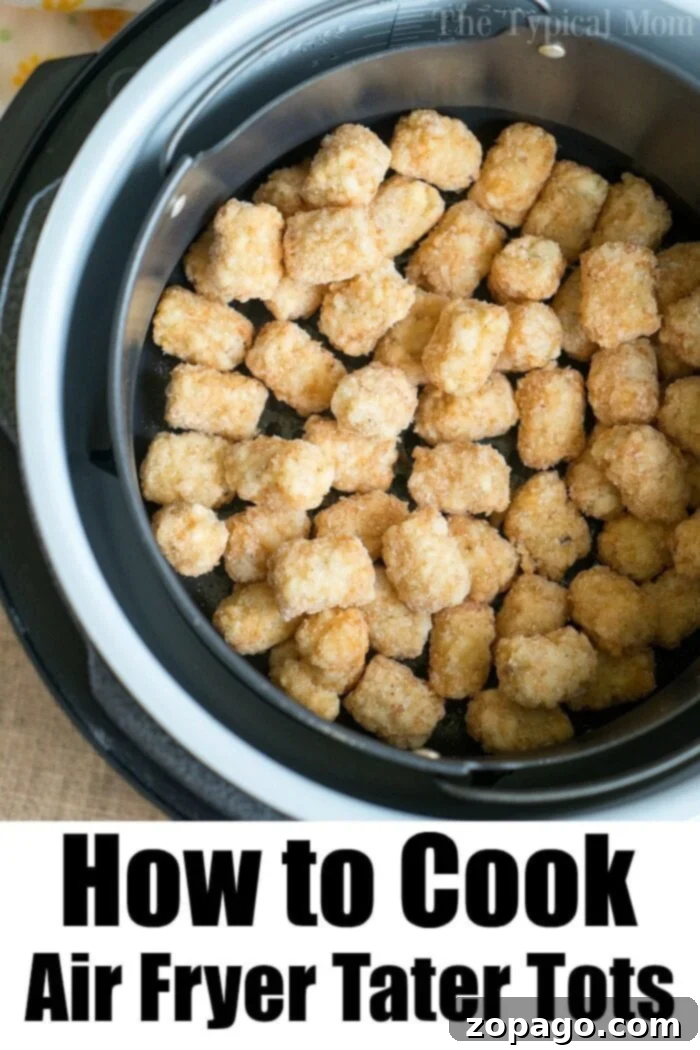 Optimal Cooking Time for Frozen Tater Tots in Air Fryer Guide on How Long to Cook Frozen Tater Tots in Air Fryer