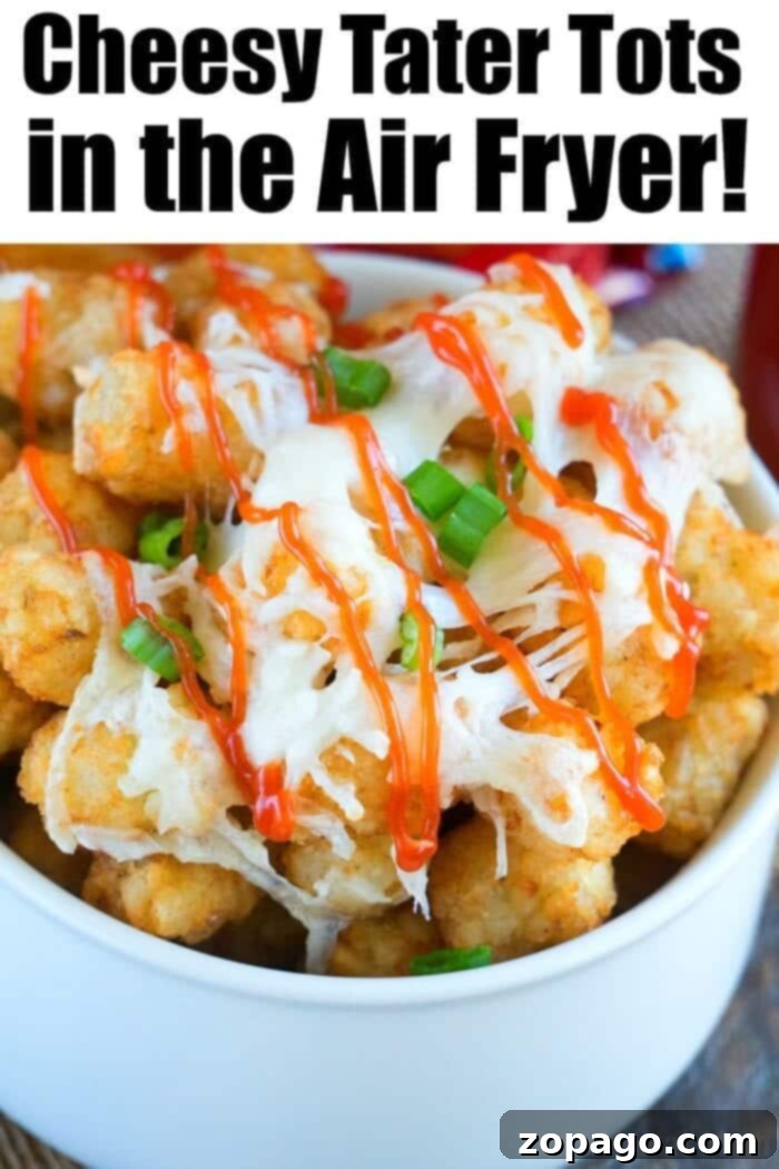 Delicious Cheesy Tater Tots from the Air Fryer Close-up of Cheesy Tater Tots with Ketchup