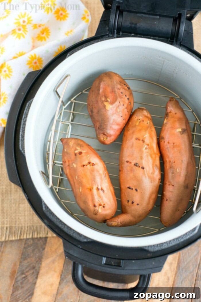 Perfect Air Fryer Sweet Potatoes 5 Sweet potatoes arranged on a wire rack inside a Ninja Foodi, awaiting the air frying process.