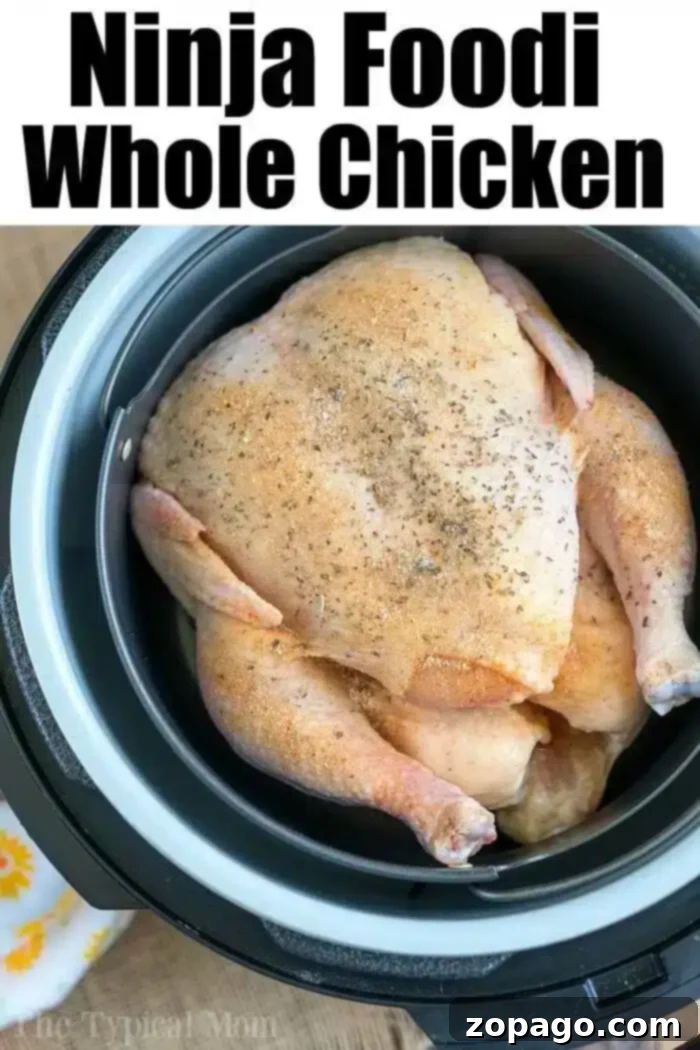 A raw whole chicken, seasoned and ready for cooking, is placed inside a Ninja Foodi multi-cooker, illustrating how it fits for air frying or pressure cooking. The text overlay reads 'Ninja Foodi Whole Chicken'.