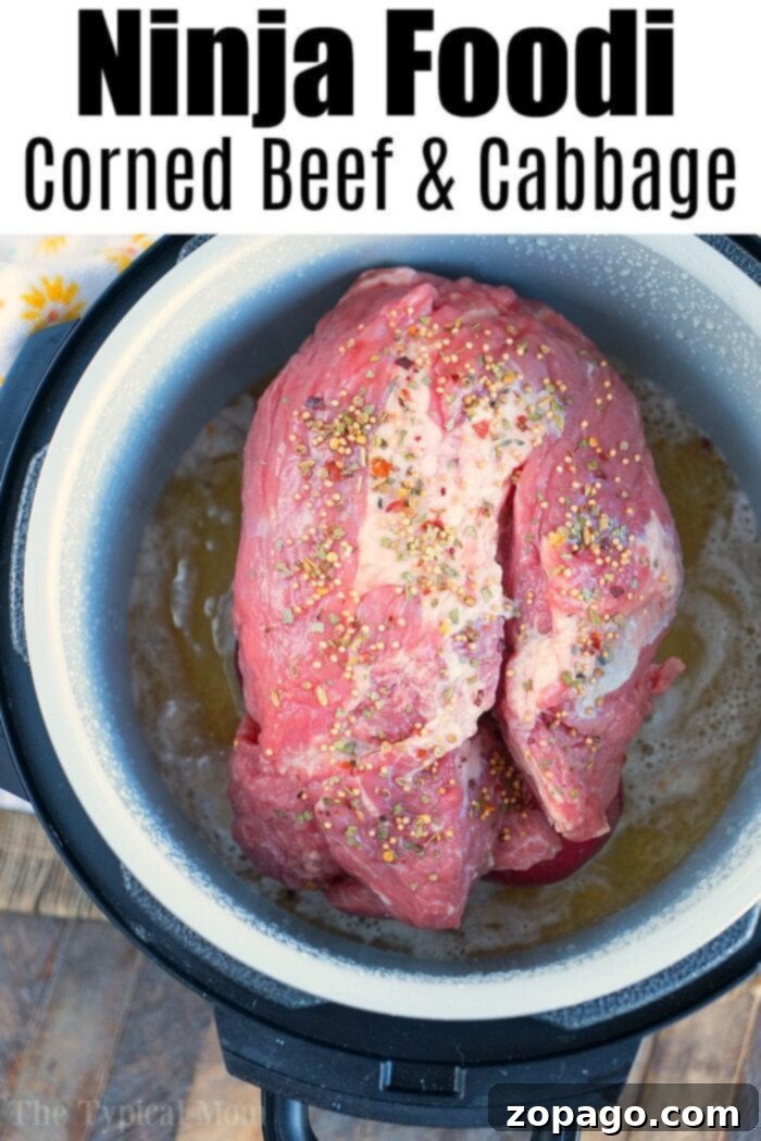 Ninja Foodi corned beef and cabbage is perfect for St Patricks Day or year round. Tender corned beef brisket in a little over an hour is here! #ninjafoodirecipes #ninjafoodicornedbeef #cornedbeefandcabbage #brisket #cornedbeef #thetypicalmom Ready to cook our seasoned corned beef and cabbage in a ninja foodi using the pressure cooker lid.