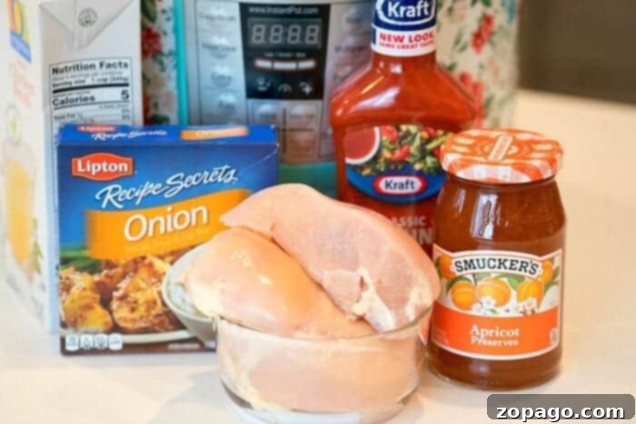 Apricot Glazed Pressure Cooker Chicken 4 Detailed shot of Instant Pot apricot chicken with a vibrant, thick sauce, ready to be served.
