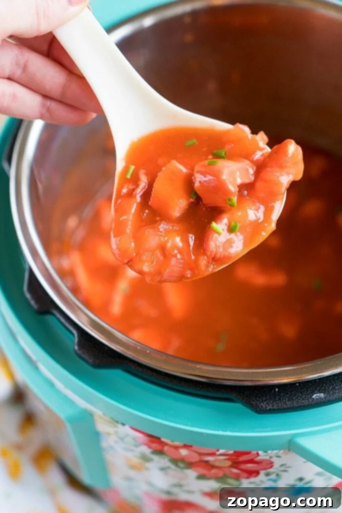Apricot Glazed Pressure Cooker Chicken 6 A generous spoonful of tender apricot chicken held above the pressure cooker, showcasing the rich, sweet sauce.