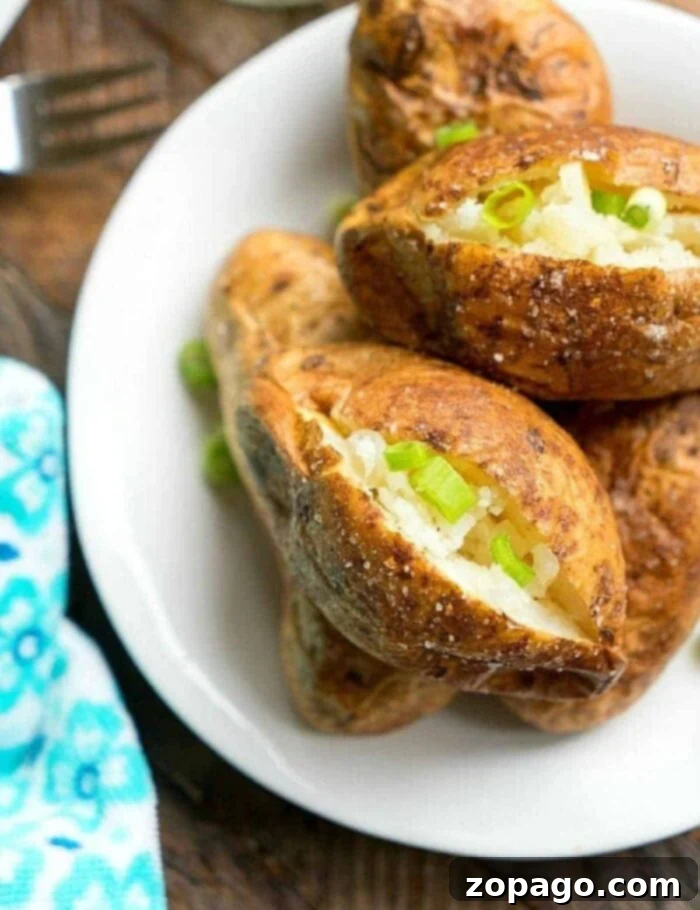 Crispy Ninja Foodi Air Fryer Baked Potatoes