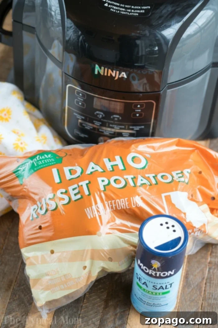 Ninja Foodi Baked Potatoes stuffed with chili and cheese
