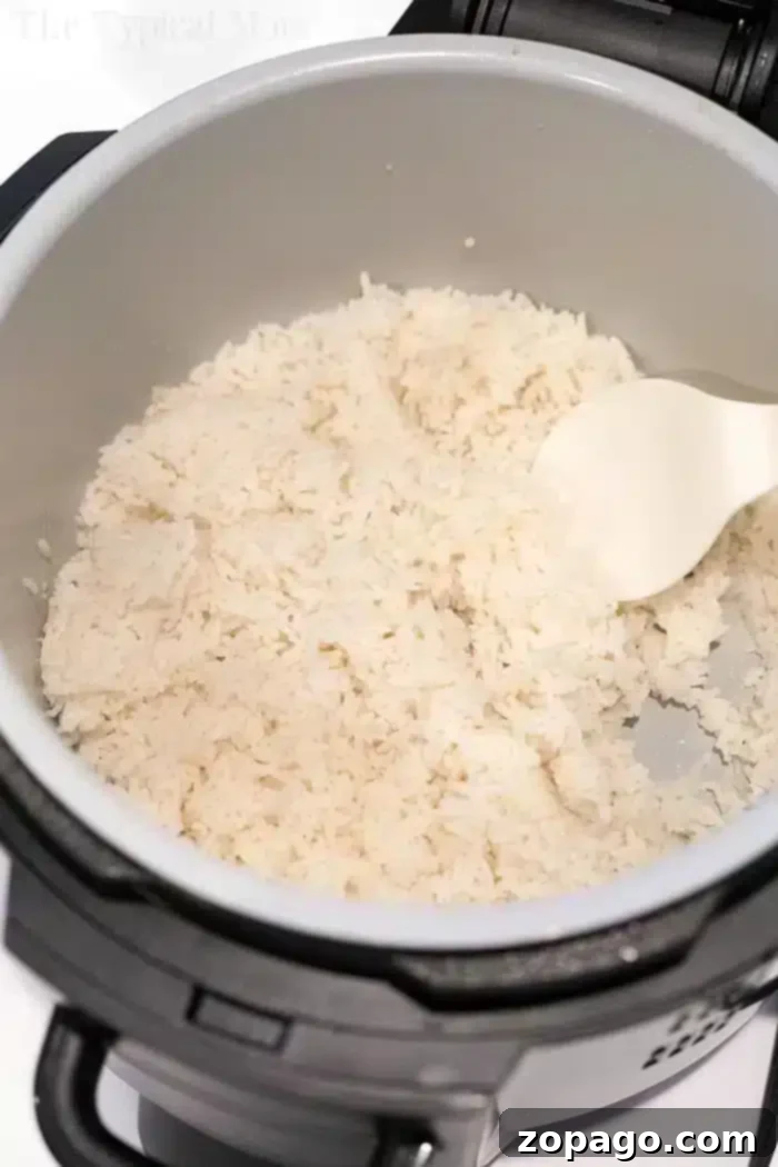 Perfect Fluffy Ninja Foodi Rice 2 A pot of fluffy white rice fills most of the Ninja Foodi, with a white plastic spatula resting on the side.